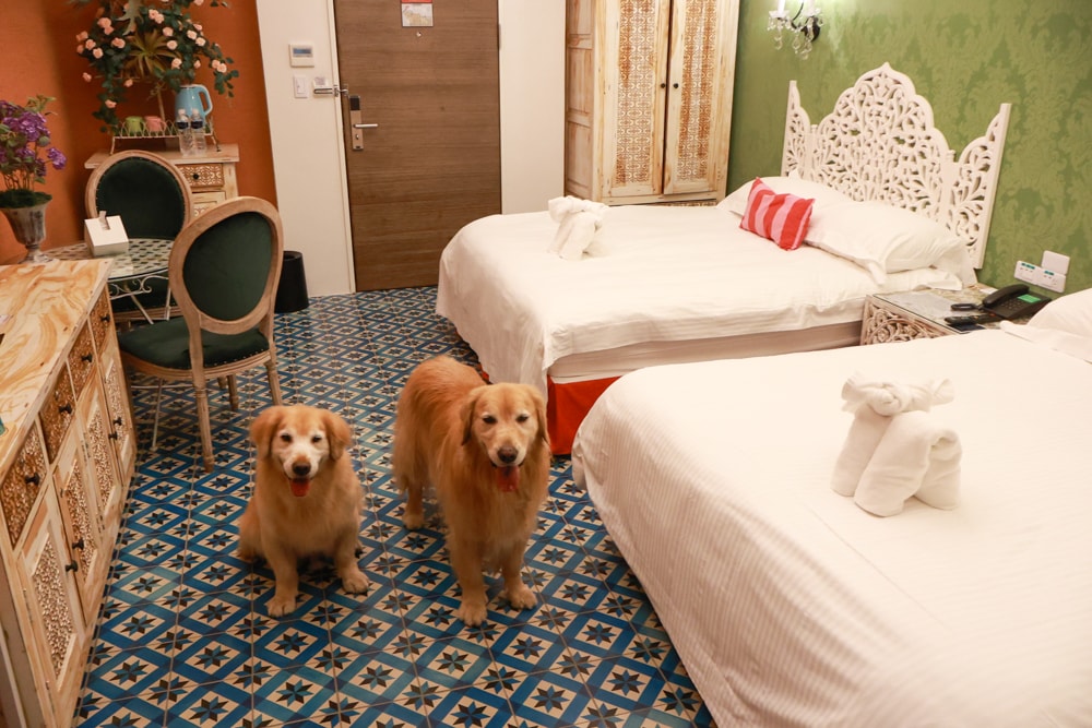 嘉義。安娜與國王酒店Anna King Hotel|全台唯一泰式風格酒店、寵物友善飯店、嘉義東門圓環、東門市場附近 - 第53張圖 嘉義。安娜與國王酒店Anna King Hotel|全台唯一泰式風格酒店、寵物友善飯店、嘉義東門圓環、東門市場附近