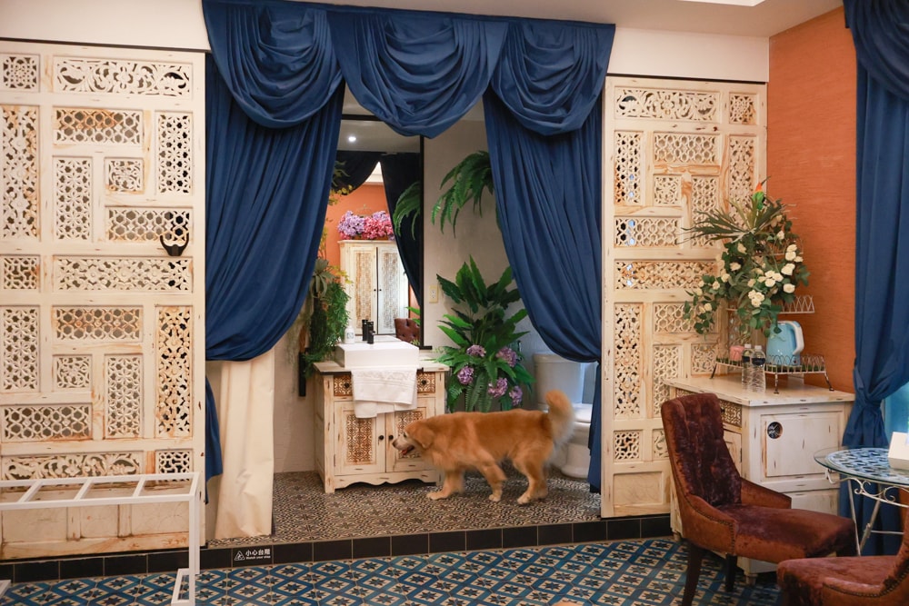 嘉義。安娜與國王酒店Anna King Hotel|全台唯一泰式風格酒店、寵物友善飯店、嘉義東門圓環、東門市場附近 - 第30張圖 嘉義。安娜與國王酒店Anna King Hotel|全台唯一泰式風格酒店、寵物友善飯店、嘉義東門圓環、東門市場附近