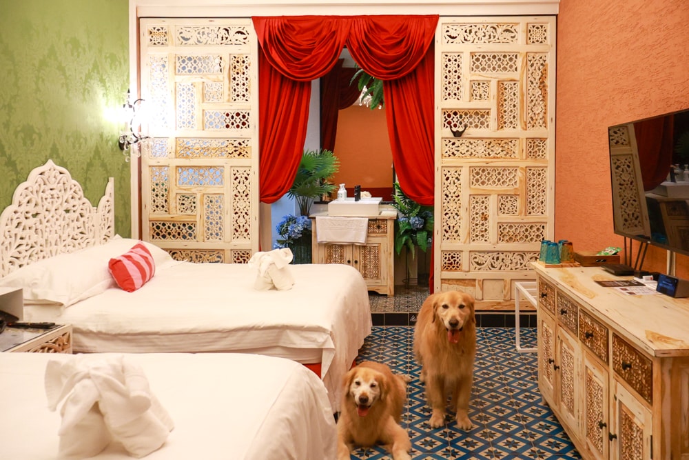 嘉義。安娜與國王酒店Anna King Hotel｜全台唯一泰式風格酒店、寵物友善飯店、嘉義東門圓環、東門市場附近