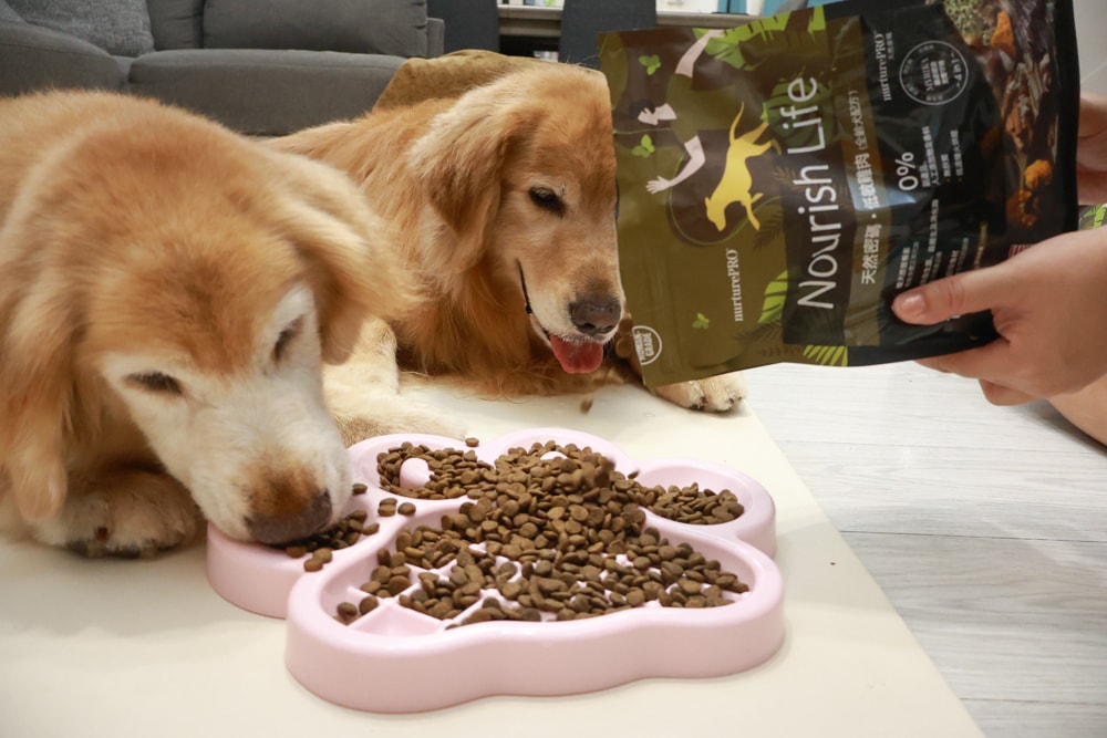 NURTURE PRO 天然密碼全齡犬糧|獨特腸道健康配方、適合腸胃需要特別呵護的狗狗、犬糧、狗飼料、狗糧、美國進口 - 第7張圖 NURTURE PRO 天然密碼全齡犬糧|獨特腸道健康配方、適合腸胃需要特別呵護的狗狗、犬糧、狗飼料、狗糧、美國進口