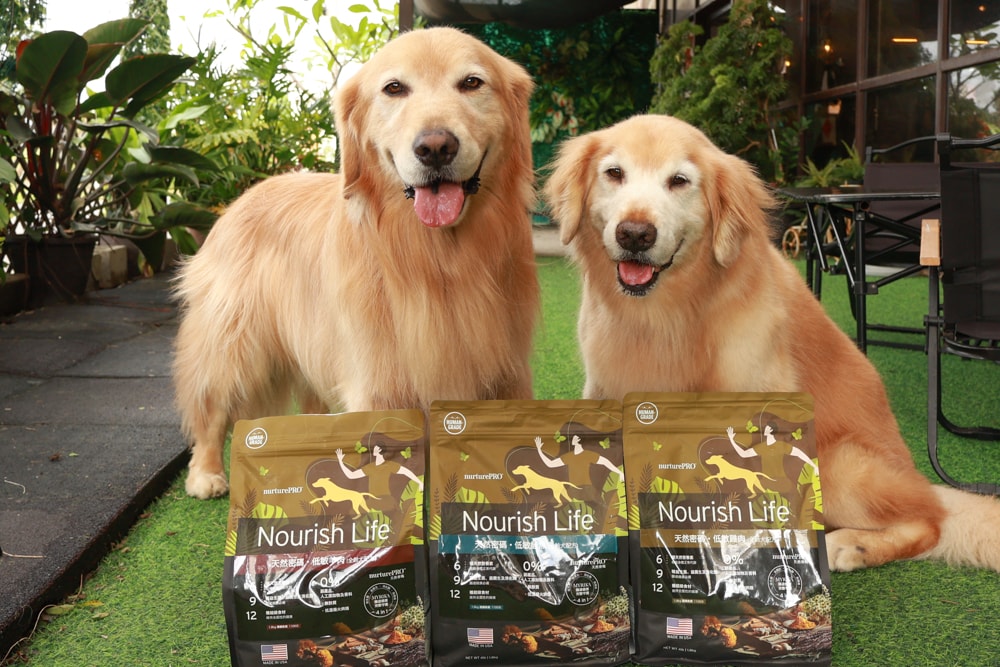 NURTURE PRO 天然密碼全齡犬糧|獨特腸道健康配方、適合腸胃需要特別呵護的狗狗、犬糧、狗飼料、狗糧、美國進口 - 第1張圖 NURTURE PRO 天然密碼全齡犬糧|獨特腸道健康配方、適合腸胃需要特別呵護的狗狗、犬糧、狗飼料、狗糧、美國進口