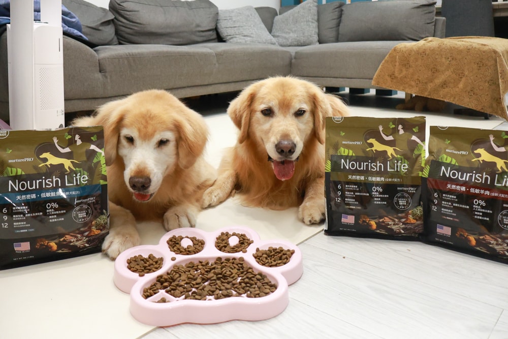 NURTURE PRO 天然密碼全齡犬糧|獨特腸道健康配方、適合腸胃需要特別呵護的狗狗、犬糧、狗飼料、狗糧、美國進口 - 第4張圖 NURTURE PRO 天然密碼全齡犬糧|獨特腸道健康配方、適合腸胃需要特別呵護的狗狗、犬糧、狗飼料、狗糧、美國進口