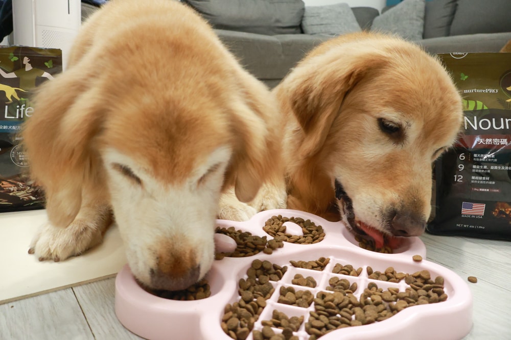 NURTURE PRO 天然密碼全齡犬糧|獨特腸道健康配方、適合腸胃需要特別呵護的狗狗、犬糧、狗飼料、狗糧、美國進口 - 第18張圖 NURTURE PRO 天然密碼全齡犬糧|獨特腸道健康配方、適合腸胃需要特別呵護的狗狗、犬糧、狗飼料、狗糧、美國進口