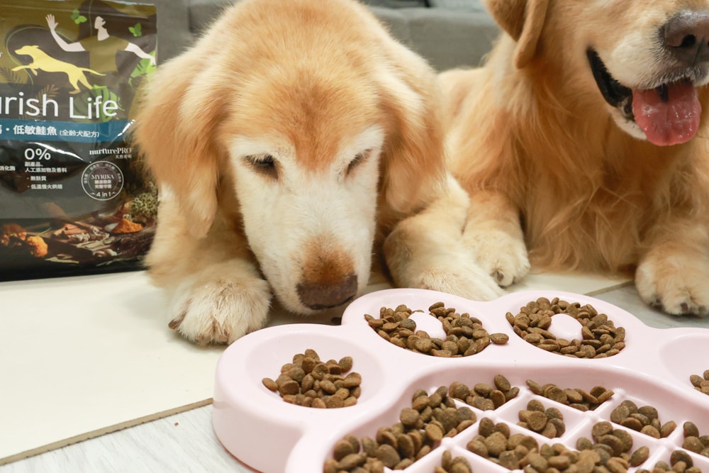 NURTURE PRO 天然密碼全齡犬糧|獨特腸道健康配方、適合腸胃需要特別呵護的狗狗、犬糧、狗飼料、狗糧、美國進口 - 第10張圖 NURTURE PRO 天然密碼全齡犬糧|獨特腸道健康配方、適合腸胃需要特別呵護的狗狗、犬糧、狗飼料、狗糧、美國進口