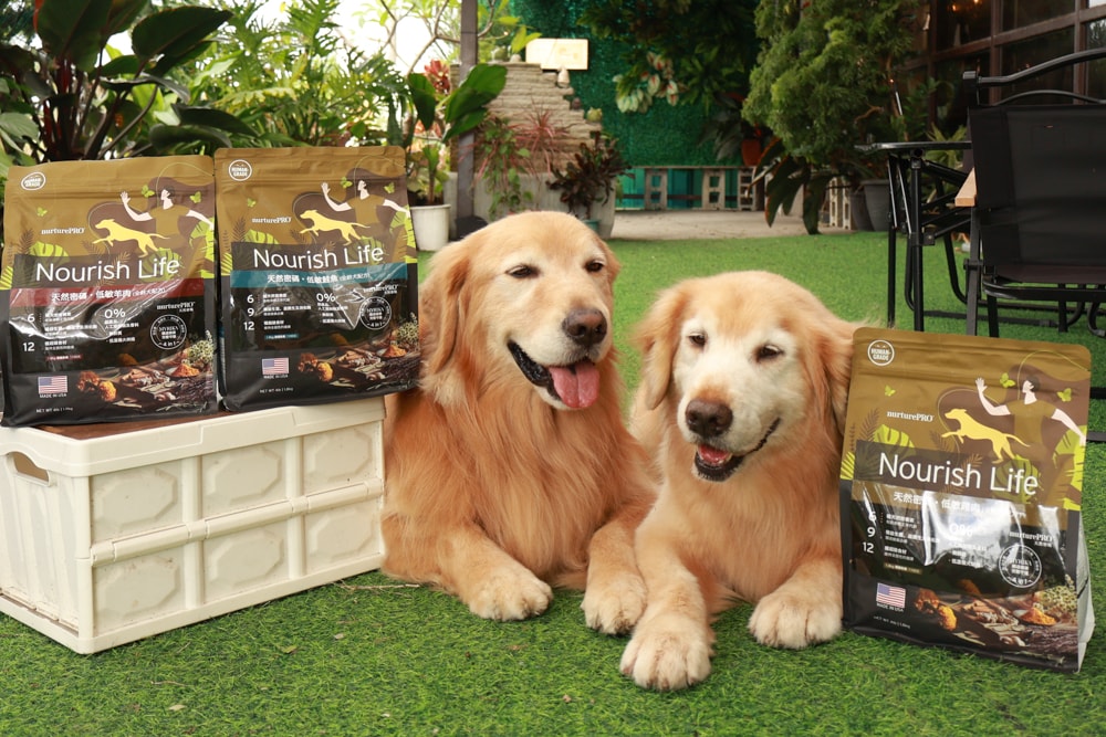 NURTURE PRO 天然密碼全齡犬糧|獨特腸道健康配方、適合腸胃需要特別呵護的狗狗、犬糧、狗飼料、狗糧、美國進口 - 第5張圖 NURTURE PRO 天然密碼全齡犬糧|獨特腸道健康配方、適合腸胃需要特別呵護的狗狗、犬糧、狗飼料、狗糧、美國進口