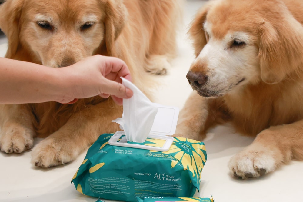 NURTURE PRO 天然密碼全齡犬糧|獨特腸道健康配方、適合腸胃需要特別呵護的狗狗、犬糧、狗飼料、狗糧、美國進口 - 第22張圖 NURTURE PRO 天然密碼全齡犬糧|獨特腸道健康配方、適合腸胃需要特別呵護的狗狗、犬糧、狗飼料、狗糧、美國進口