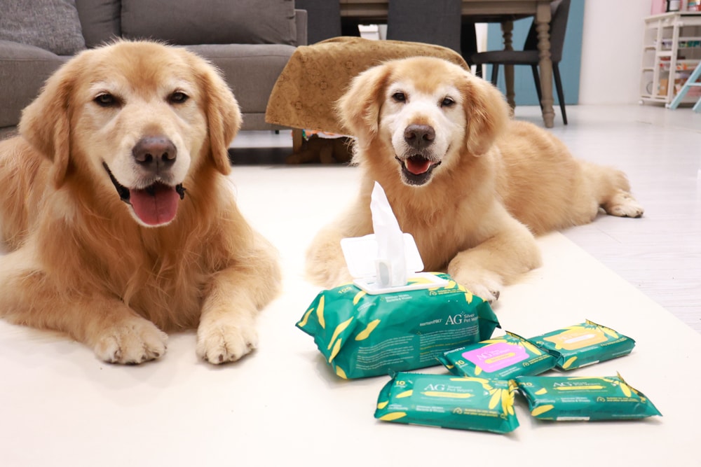 NURTURE PRO 天然密碼全齡犬糧|獨特腸道健康配方、適合腸胃需要特別呵護的狗狗、犬糧、狗飼料、狗糧、美國進口 - 第20張圖 NURTURE PRO 天然密碼全齡犬糧|獨特腸道健康配方、適合腸胃需要特別呵護的狗狗、犬糧、狗飼料、狗糧、美國進口