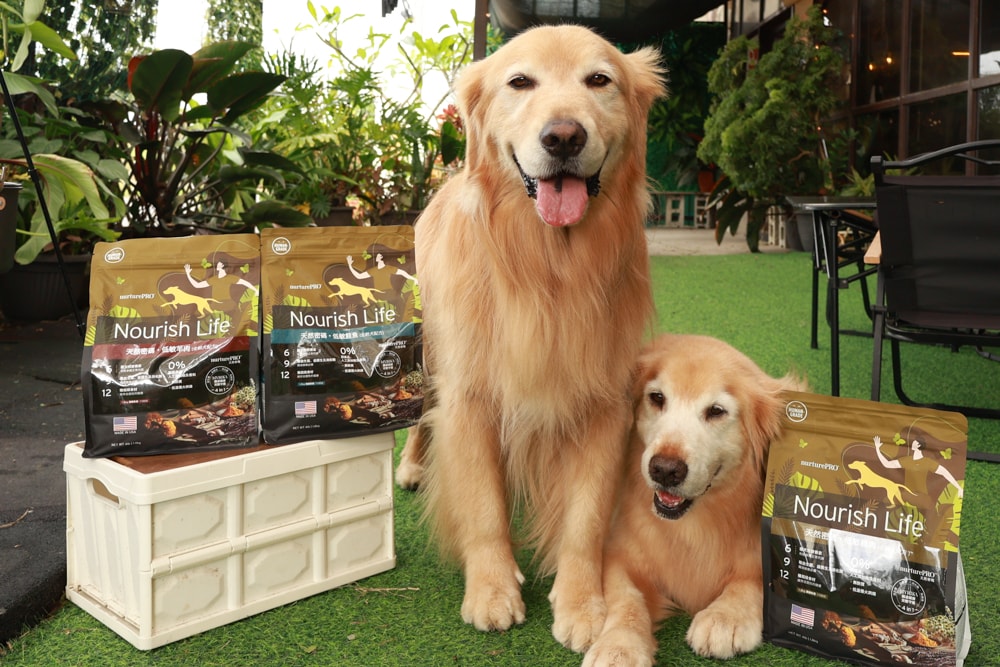 NURTURE PRO 天然密碼全齡犬糧|獨特腸道健康配方、適合腸胃需要特別呵護的狗狗、犬糧、狗飼料、狗糧、美國進口 - 第6張圖 NURTURE PRO 天然密碼全齡犬糧|獨特腸道健康配方、適合腸胃需要特別呵護的狗狗、犬糧、狗飼料、狗糧、美國進口