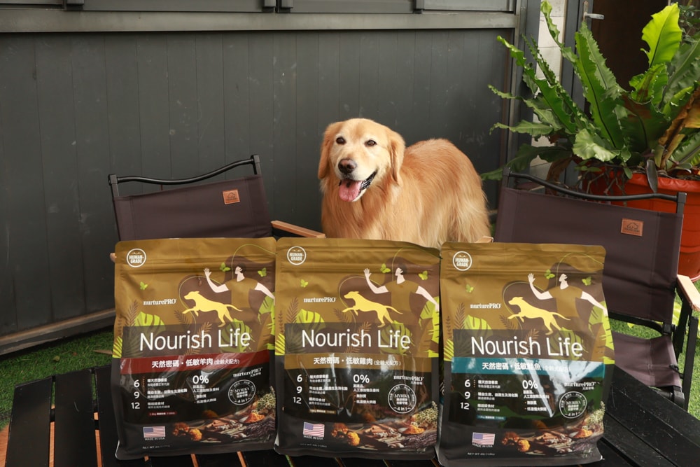 NURTURE PRO 天然密碼全齡犬糧|獨特腸道健康配方、適合腸胃需要特別呵護的狗狗、犬糧、狗飼料、狗糧、美國進口 - 第3張圖 NURTURE PRO 天然密碼全齡犬糧|獨特腸道健康配方、適合腸胃需要特別呵護的狗狗、犬糧、狗飼料、狗糧、美國進口