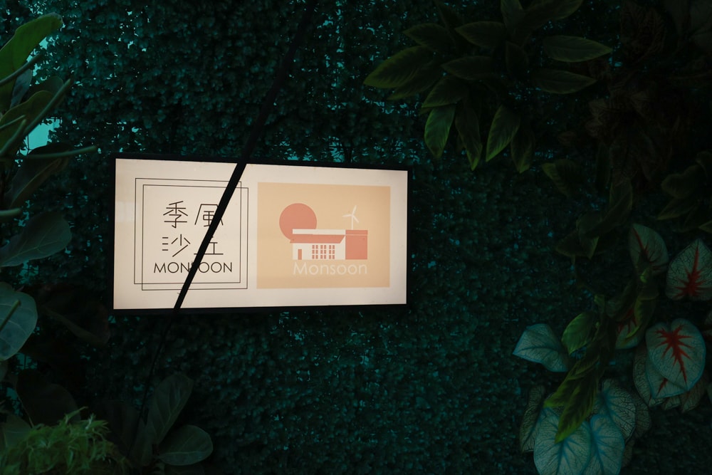 桃園大園美食|季風沙丘 – 老。樣子三店 。寵物友善餐廳、老宅工業風咖啡廳、草漯沙丘地質公園旁 - 第9張圖 桃園大園美食|季風沙丘 – 老。樣子三店 。寵物友善餐廳、老宅工業風咖啡廳、草漯沙丘地質公園旁