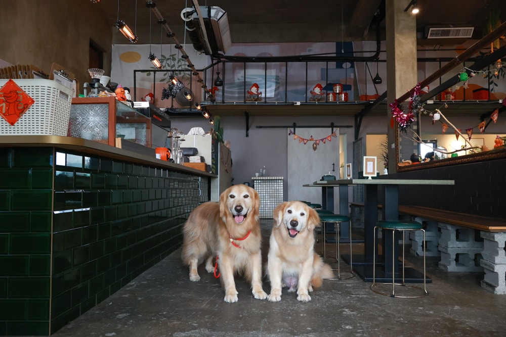 桃園大園美食|季風沙丘 – 老。樣子三店 。寵物友善餐廳、老宅工業風咖啡廳、草漯沙丘地質公園旁 - 第11張圖 桃園大園美食|季風沙丘 – 老。樣子三店 。寵物友善餐廳、老宅工業風咖啡廳、草漯沙丘地質公園旁