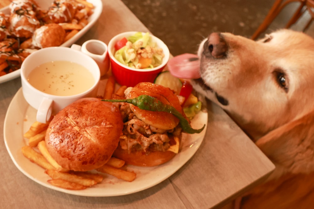 桃園大園美食|季風沙丘 – 老。樣子三店 。寵物友善餐廳、老宅工業風咖啡廳、草漯沙丘地質公園旁 - 第22張圖 桃園大園美食|季風沙丘 – 老。樣子三店 。寵物友善餐廳、老宅工業風咖啡廳、草漯沙丘地質公園旁