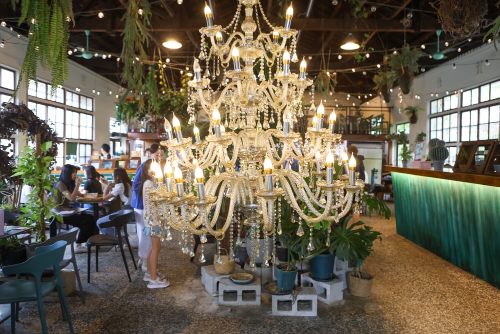 嘉義美食｜廢溫室Greenhouse Café。寵物友善餐廳、充滿綠意植栽的百年老宅餐廳、森林系咖啡廳