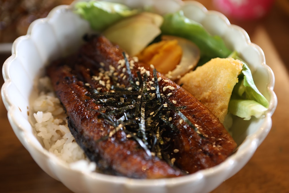 嘉義美食｜廢溫室Greenhouse Café。寵物友善餐廳、充滿綠意植栽的百年老宅餐廳、森林系咖啡廳