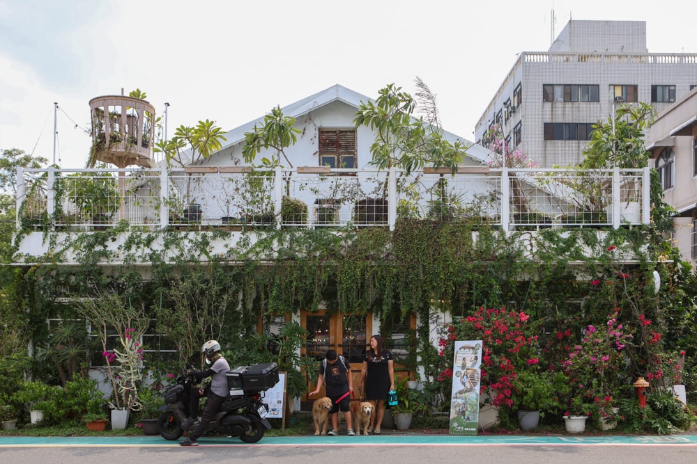 嘉義美食｜廢溫室Greenhouse Café。寵物友善餐廳、充滿綠意植栽的百年老宅餐廳、森林系咖啡廳