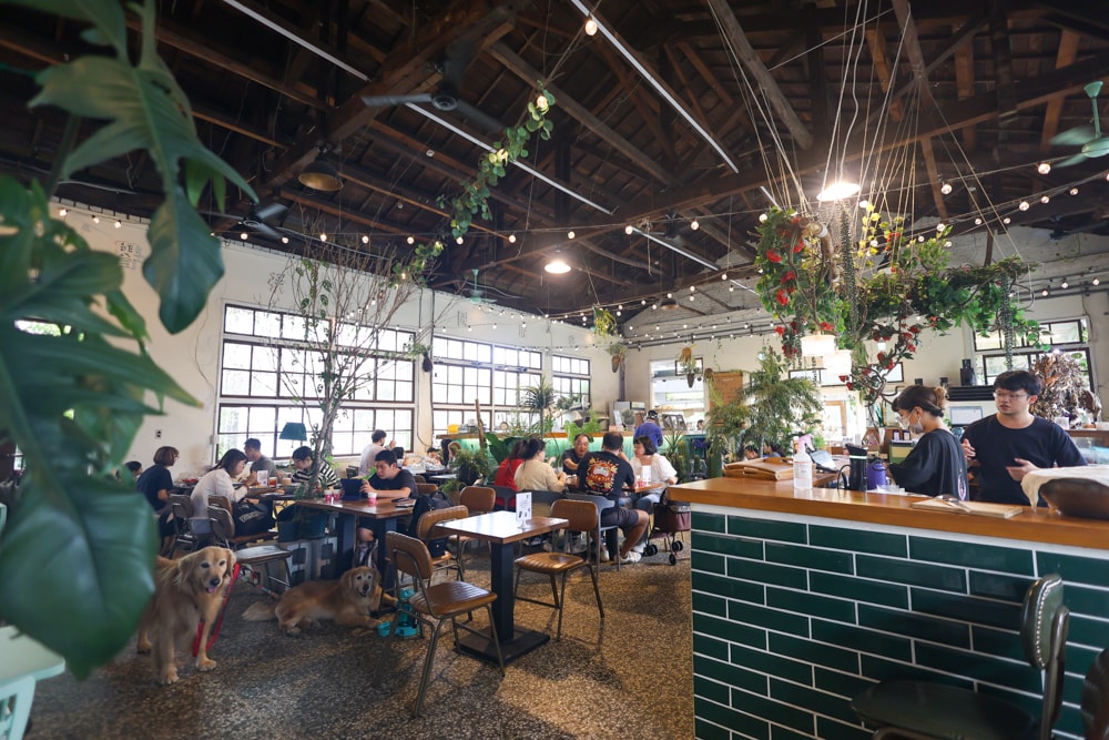 嘉義美食｜廢溫室Greenhouse Café。寵物友善餐廳、充滿綠意植栽的百年老宅餐廳、森林系咖啡廳