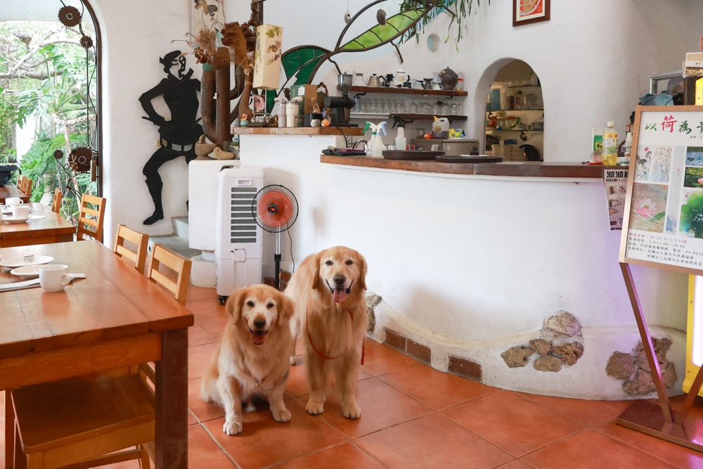 彰化田尾｜綠海咖啡館。寵物友善餐廳、彰化田尾景觀餐廳、花園餐廳、下午茶、異國美食、秘境咖啡廳