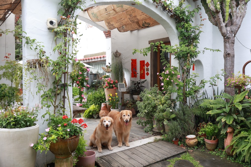 彰化田尾｜綠海咖啡館。寵物友善餐廳、彰化田尾景觀餐廳、花園餐廳、下午茶、異國美食、秘境咖啡廳