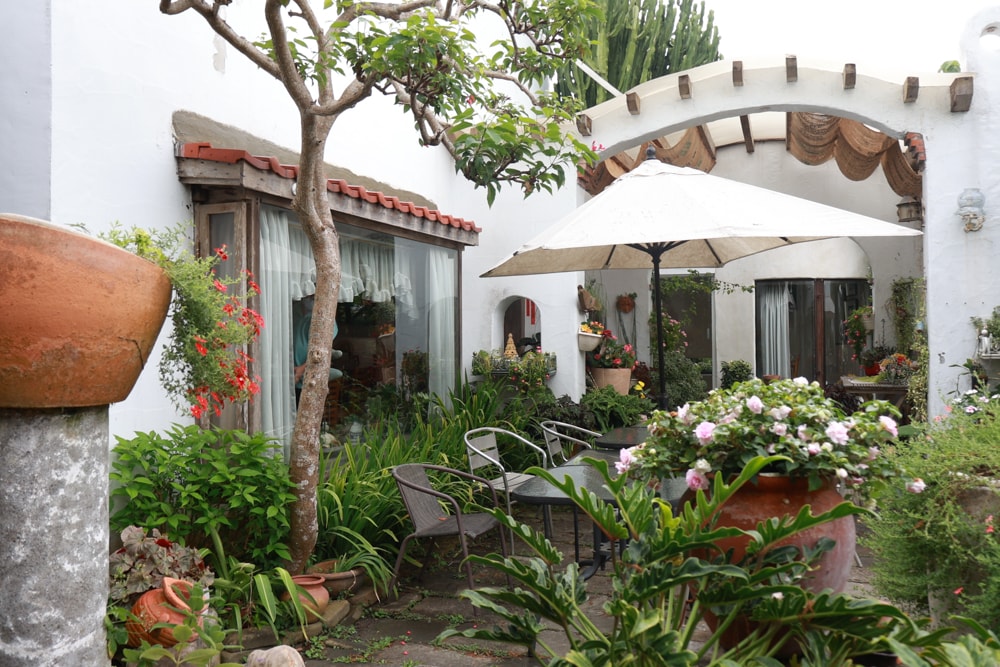 彰化田尾｜綠海咖啡館。寵物友善餐廳、彰化田尾景觀餐廳、花園餐廳、下午茶、異國美食、秘境咖啡廳