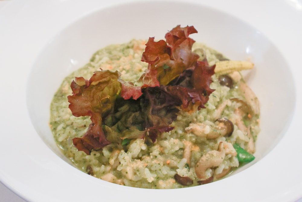 彰化田尾｜綠海咖啡館。寵物友善餐廳、彰化田尾景觀餐廳、花園餐廳、下午茶、異國美食、秘境咖啡廳