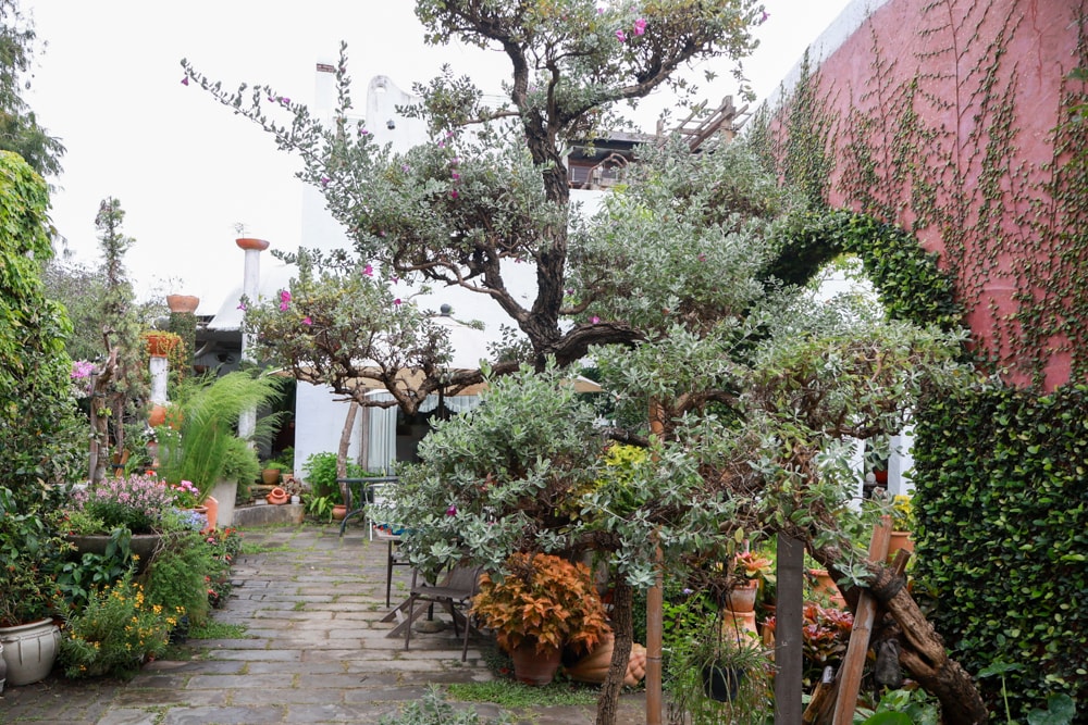 彰化田尾｜綠海咖啡館。寵物友善餐廳、彰化田尾景觀餐廳、花園餐廳、下午茶、異國美食、秘境咖啡廳