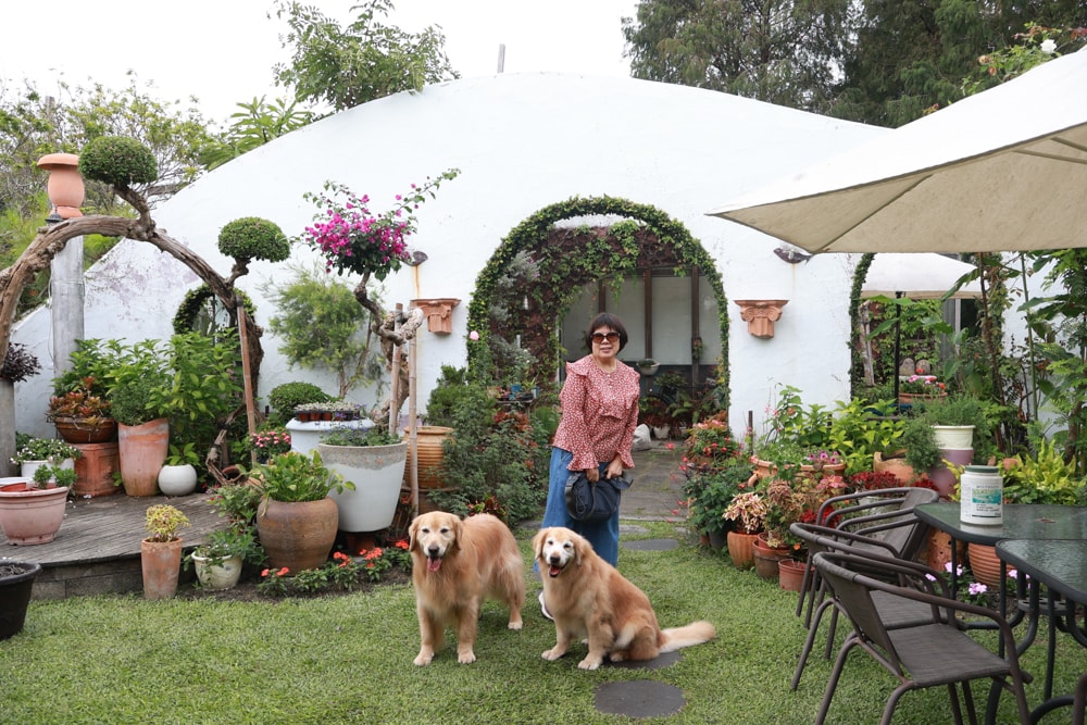彰化田尾｜綠海咖啡館。寵物友善餐廳、彰化田尾景觀餐廳、花園餐廳、下午茶、異國美食、秘境咖啡廳