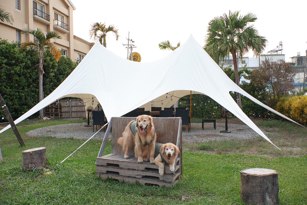 彰化北斗｜哈比雪兒景觀餐廳。寵物友善餐廳、親子餐廳、露營風、親子溜滑梯、小火車、大草皮