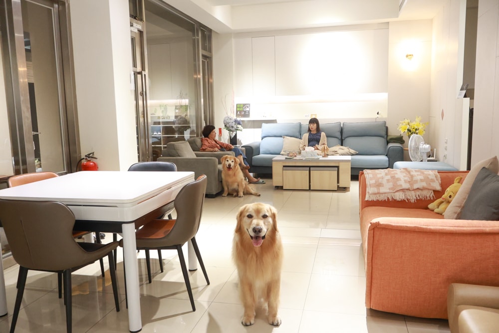 日日森旅Daily forest B&B 彰化田尾民宿｜寵物友善民宿、田尾公路花園旁的靜謐侘寂風旅宿