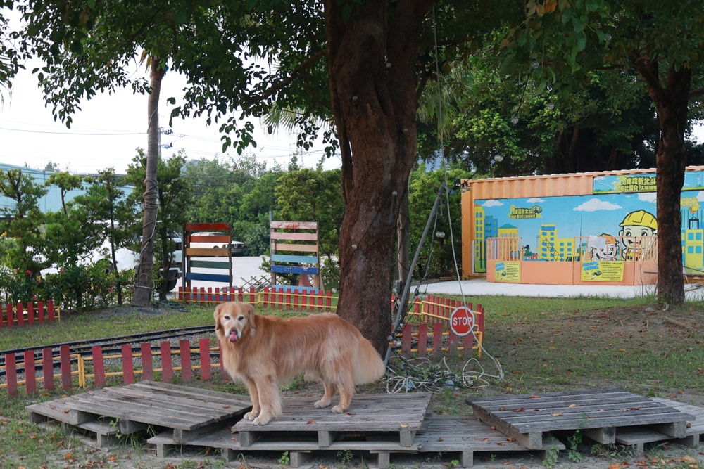 彰化北斗｜哈比雪兒景觀餐廳。寵物友善餐廳、親子餐廳、露營風、親子溜滑梯、小火車、大草皮