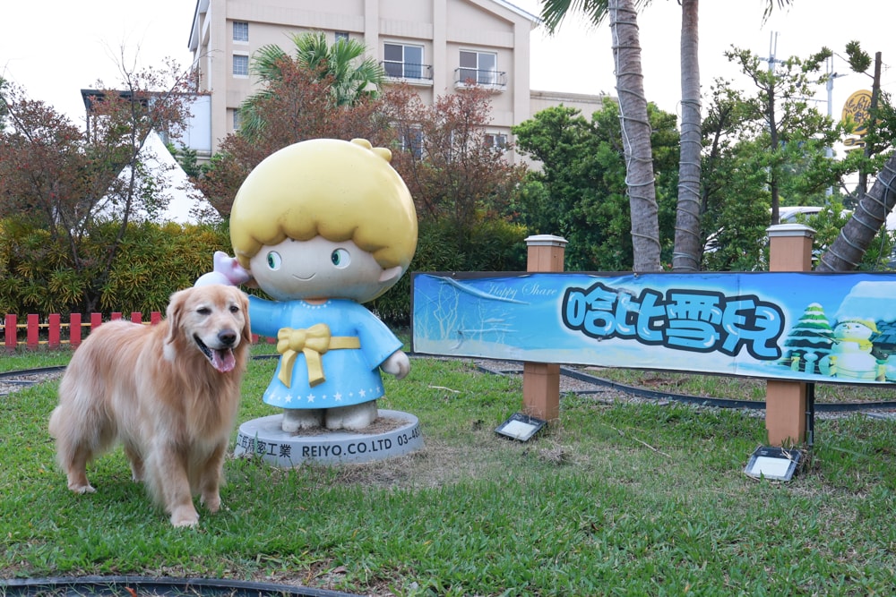 彰化北斗｜哈比雪兒景觀餐廳。寵物友善餐廳、親子餐廳、露營風、親子溜滑梯、小火車、大草皮