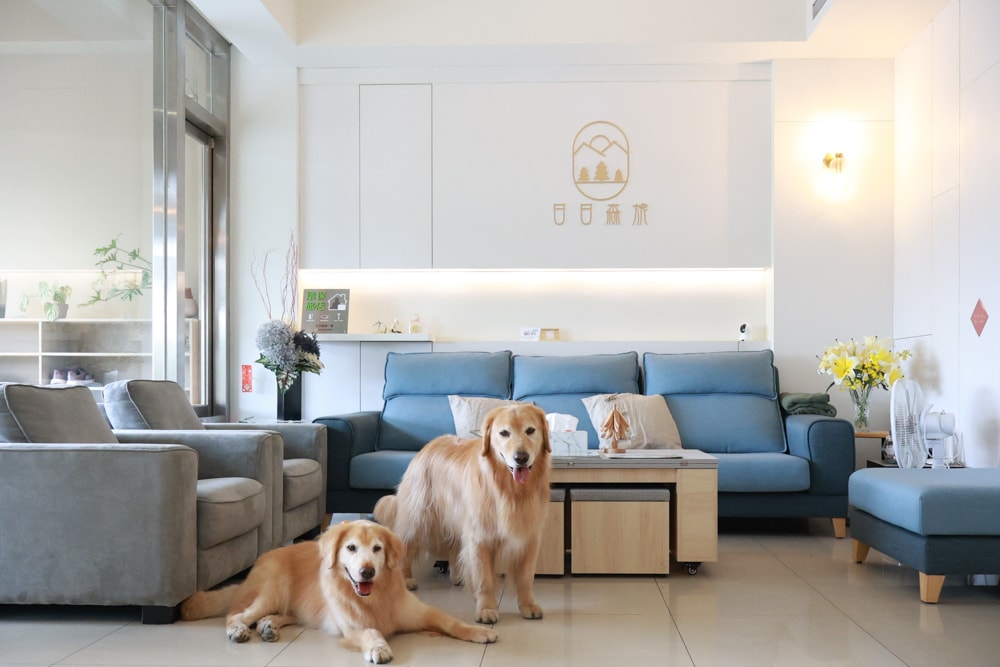 日日森旅Daily forest B&B 彰化田尾民宿｜寵物友善民宿、田尾公路花園旁的靜謐侘寂風旅宿
