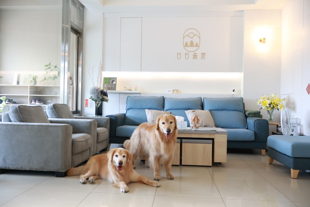 日日森旅Daily forest B&B 彰化田尾民宿｜寵物友善民宿、田尾公路花園旁的靜謐侘寂風旅宿