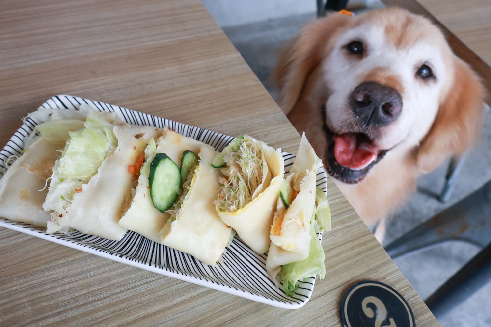 日日森旅Daily forest B&B 彰化田尾民宿｜寵物友善民宿、田尾公路花園旁的靜謐侘寂風旅宿