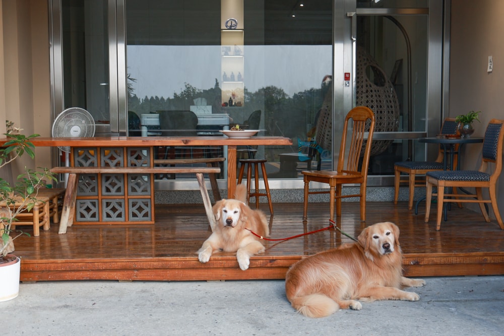 日日森旅Daily forest B&B 彰化田尾民宿｜寵物友善民宿、田尾公路花園旁的靜謐侘寂風旅宿