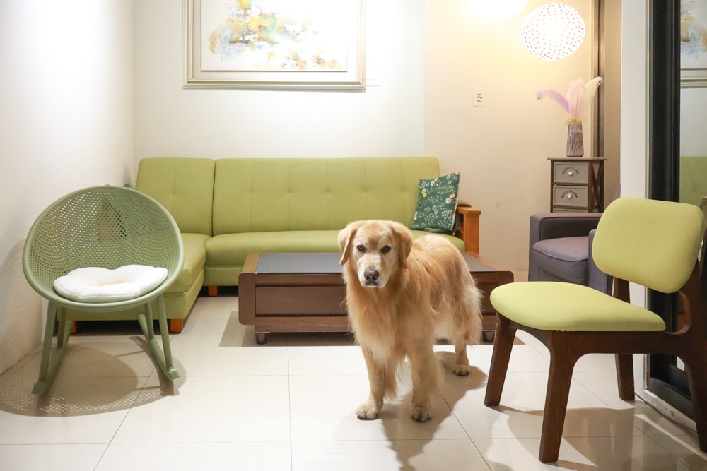 日日森旅Daily forest B&B 彰化田尾民宿｜寵物友善民宿、田尾公路花園旁的靜謐侘寂風旅宿