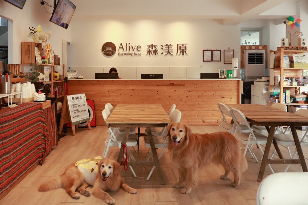 森渼原ALIVE Glamping Base｜台中豪華露營、寵物友善奢華露營、露營車、懶人露營、免裝備免搭帳、一泊三食