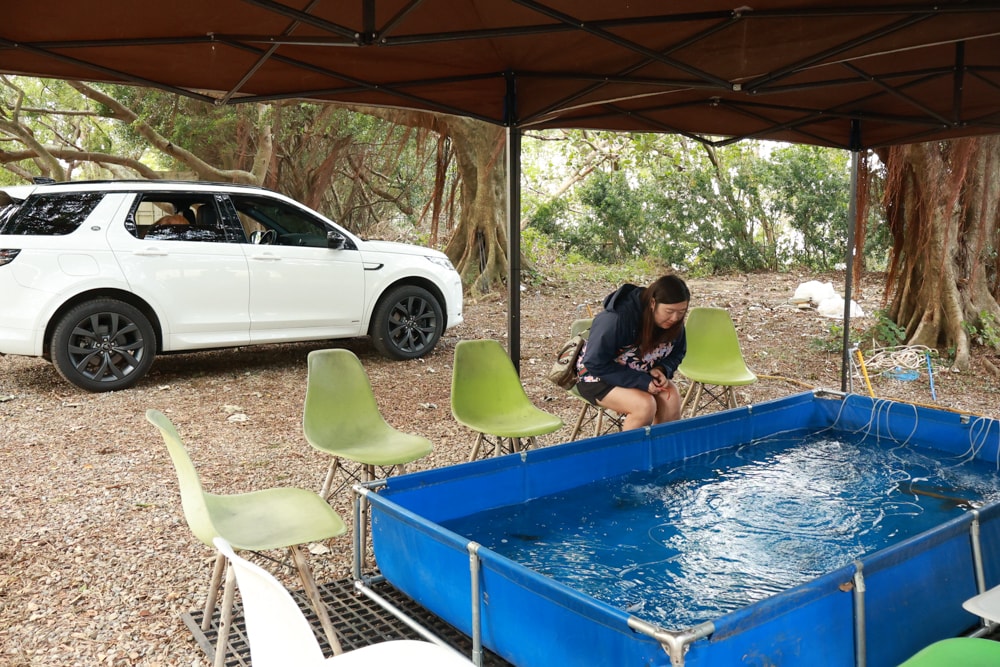 森渼原ALIVE Glamping Base｜台中豪華露營、寵物友善奢華露營、露營車、懶人露營、免裝備免搭帳、一泊三食