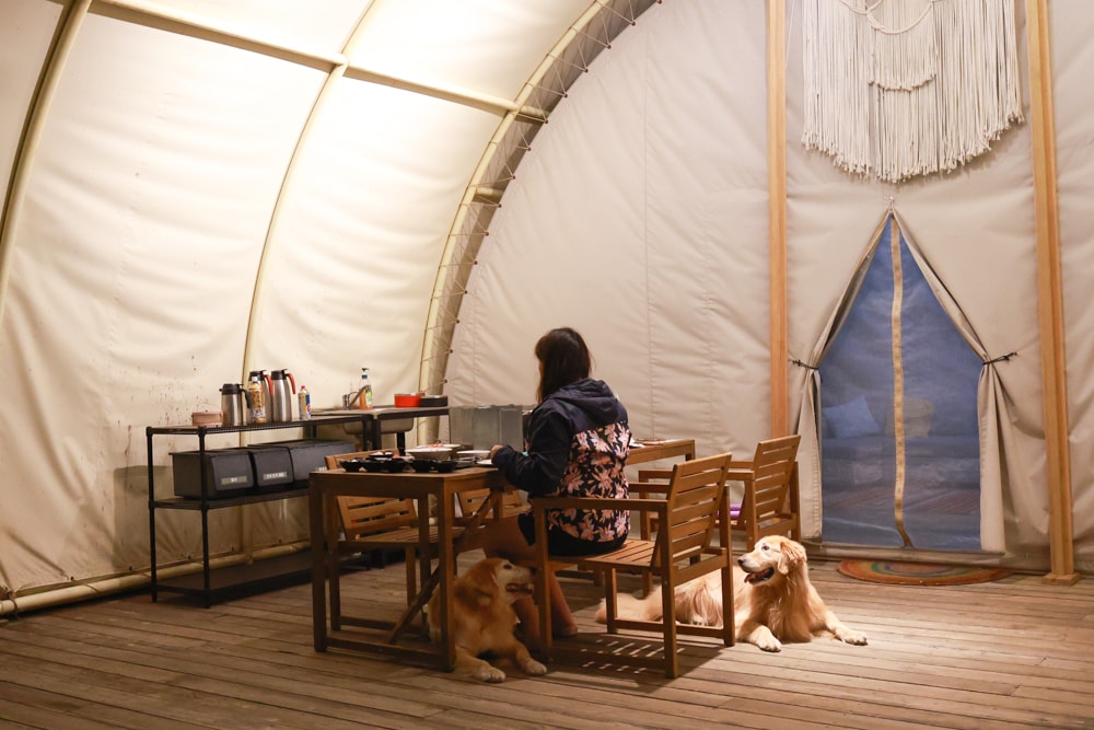 森渼原ALIVE Glamping Base｜台中豪華露營、寵物友善奢華露營、露營車、懶人露營、免裝備免搭帳、一泊三食