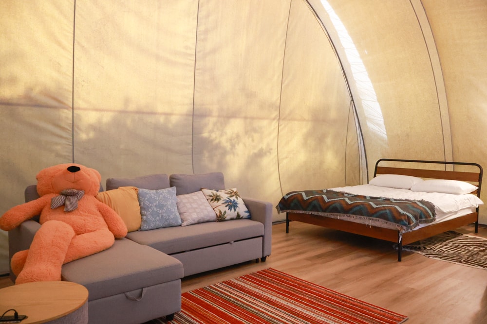 森渼原ALIVE Glamping Base｜台中豪華露營、寵物友善奢華露營、露營車、懶人露營、免裝備免搭帳、一泊三食