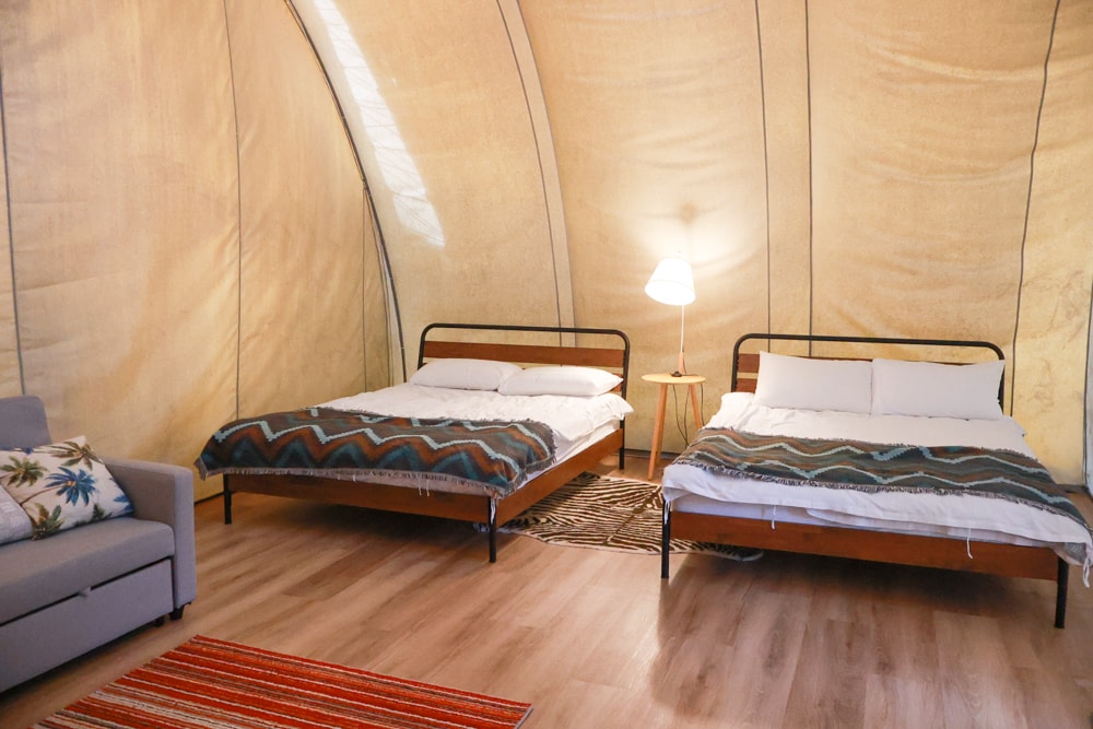 森渼原ALIVE Glamping Base｜台中豪華露營、寵物友善奢華露營、露營車、懶人露營、免裝備免搭帳、一泊三食