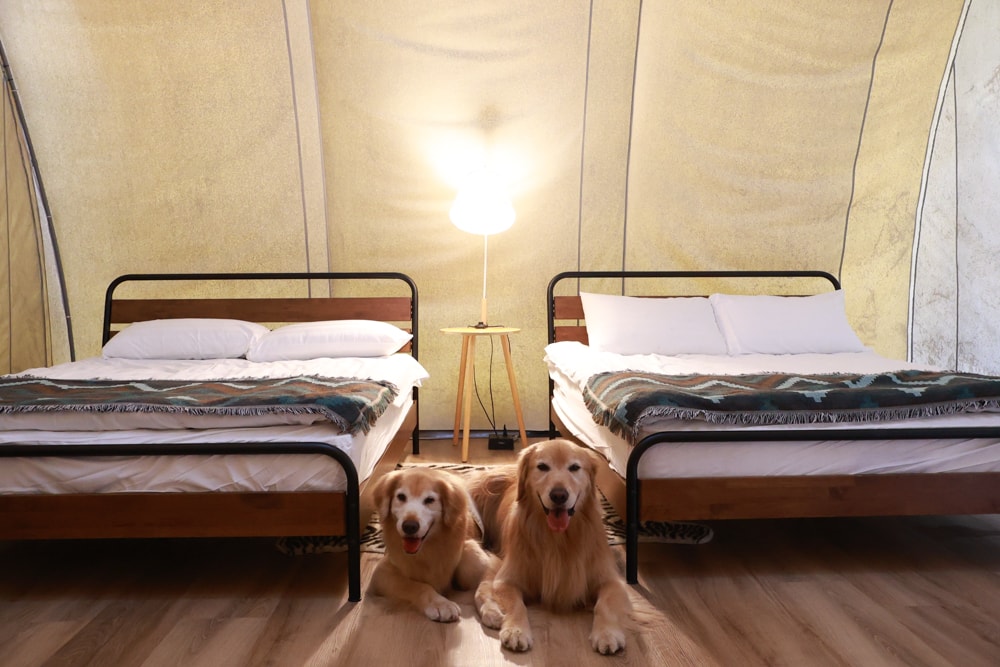 森渼原ALIVE Glamping Base｜台中豪華露營、寵物友善奢華露營、露營車、懶人露營、免裝備免搭帳、一泊三食