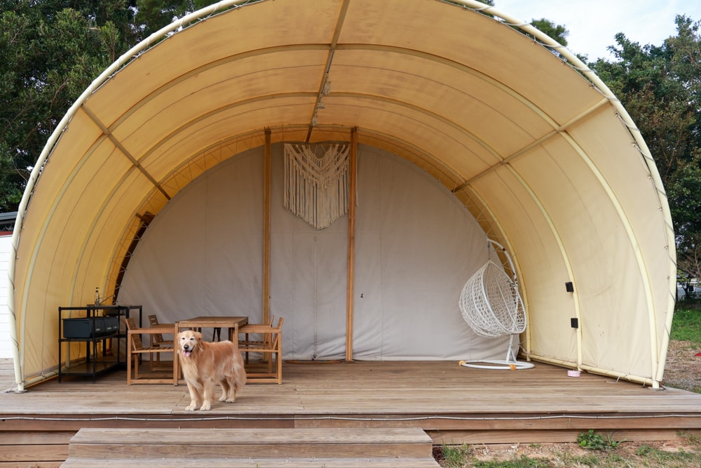 森渼原ALIVE Glamping Base｜台中豪華露營、寵物友善奢華露營、露營車、懶人露營、免裝備免搭帳、一泊三食