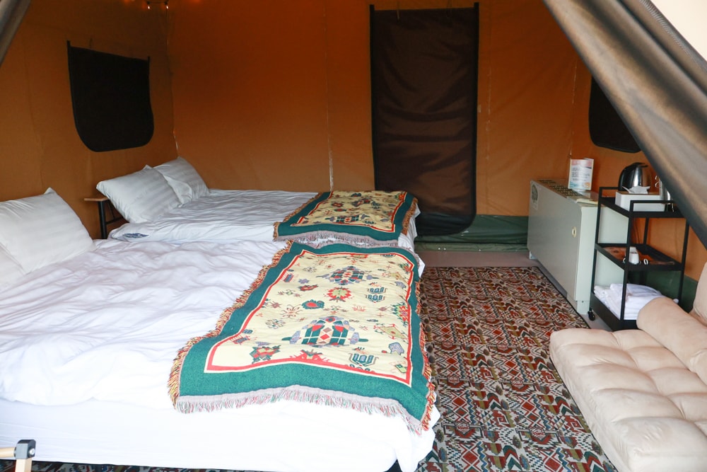 森渼原ALIVE Glamping Base｜台中豪華露營、寵物友善奢華露營、露營車、懶人露營、免裝備免搭帳、一泊三食