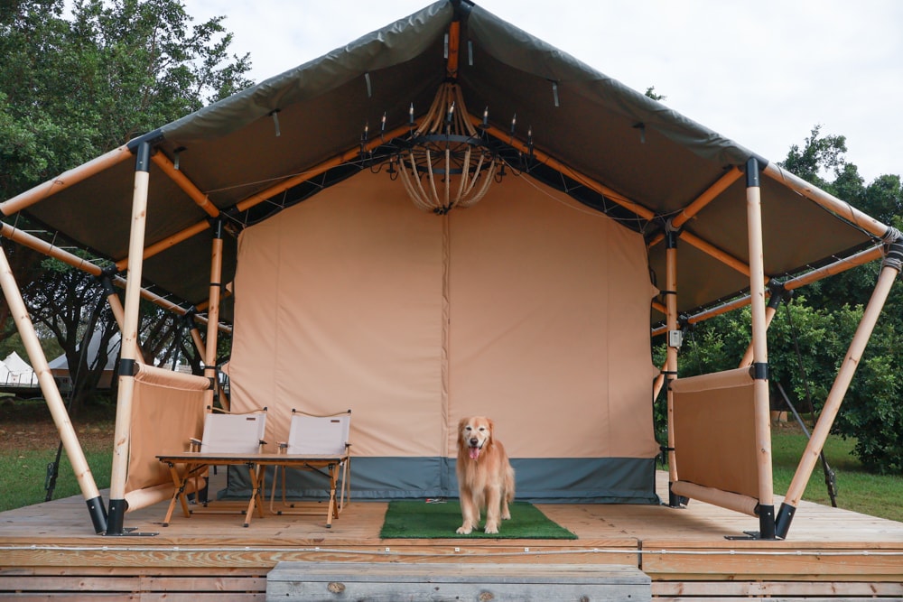 森渼原ALIVE Glamping Base｜台中豪華露營、寵物友善奢華露營、露營車、懶人露營、免裝備免搭帳、一泊三食