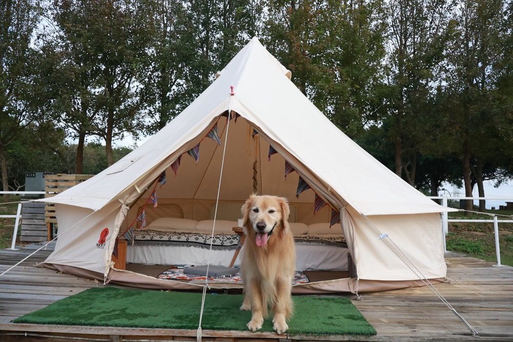 森渼原ALIVE Glamping Base｜台中豪華露營、寵物友善奢華露營、露營車、懶人露營、免裝備免搭帳、一泊三食