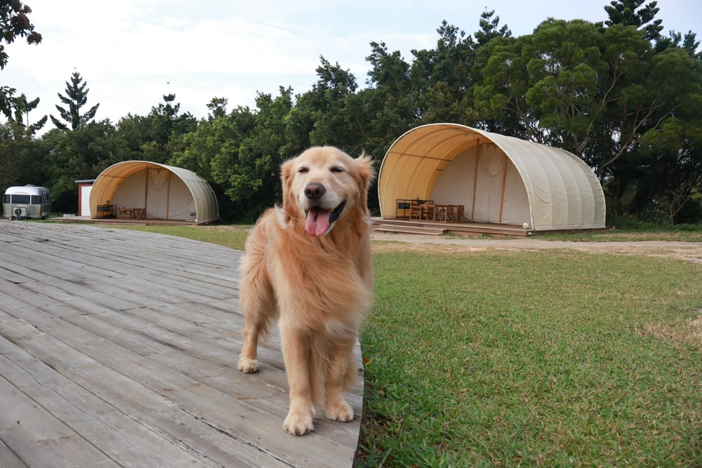 森渼原ALIVE Glamping Base｜台中豪華露營、寵物友善奢華露營、露營車、懶人露營、免裝備免搭帳、一泊三食