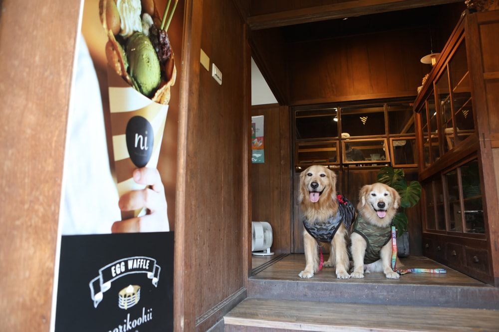 嘉義景點｜檜意森活村。寵物友善景點、森咖啡（雞蛋仔鬆餅咖啡廳）、湯城鵝行（鵝油專賣所）