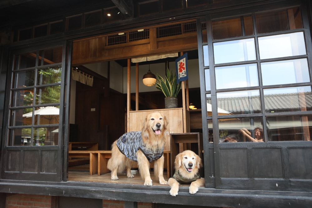 嘉義景點｜檜意森活村。寵物友善景點、森咖啡（雞蛋仔鬆餅咖啡廳）、湯城鵝行（鵝油專賣所）