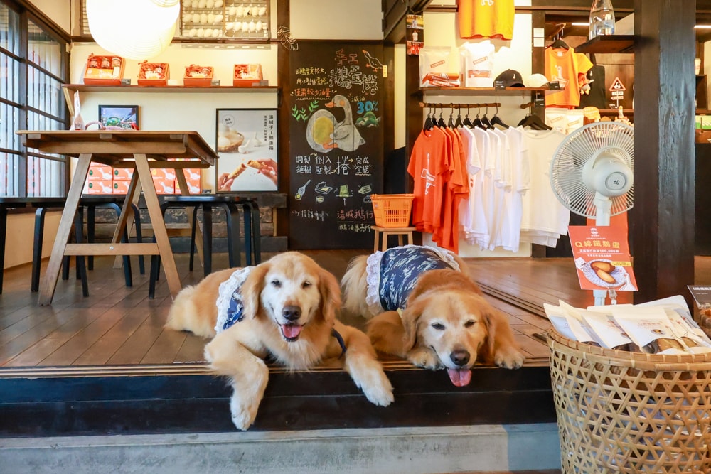 嘉義景點｜檜意森活村。寵物友善景點、森咖啡（雞蛋仔鬆餅咖啡廳）、湯城鵝行（鵝油專賣所）