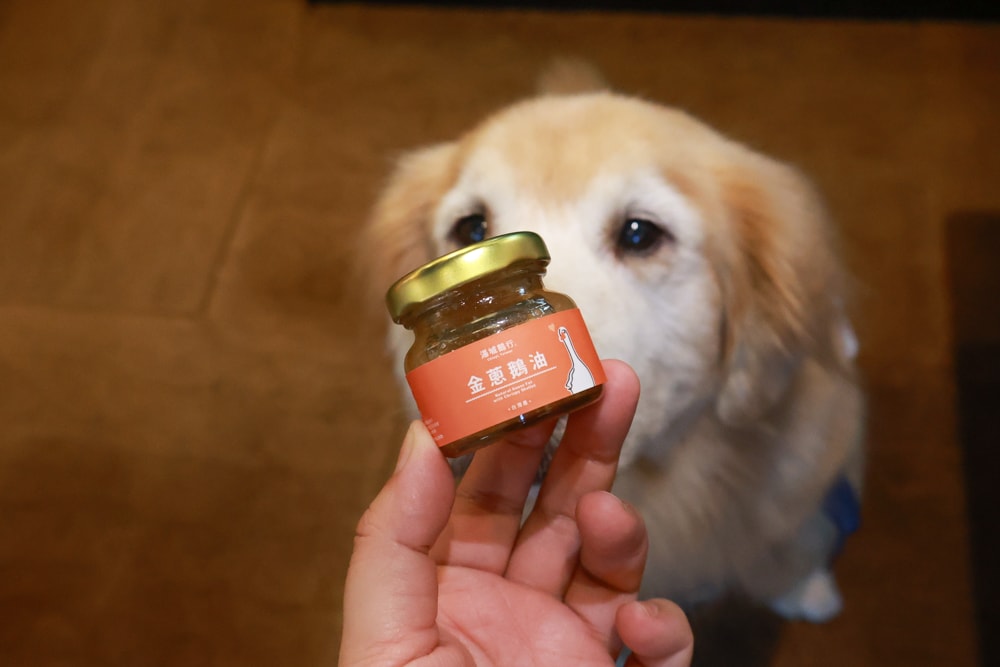 嘉義景點｜檜意森活村。寵物友善景點、森咖啡（雞蛋仔鬆餅咖啡廳）、湯城鵝行（鵝油專賣所）